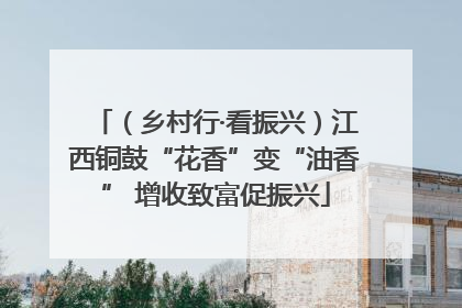 （乡村行·看振兴）江西铜鼓“花香”变“油香” 增收致富促振兴