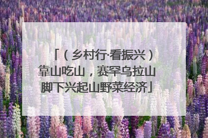 （乡村行·看振兴）靠山吃山，赛罕乌拉山脚下兴起山野菜经济