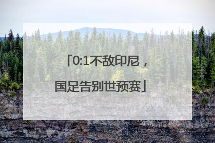 0:1不敌印尼，国足告别世预赛
