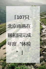 107只北京雨燕在颐和园完成年度“体检”