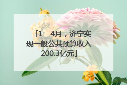 1—4月，济宁实现一般公共预算收入200.3亿元