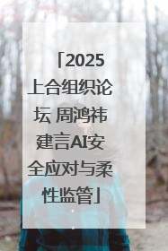 2025上合组织论坛 周鸿祎建言AI安全应对与柔性监管