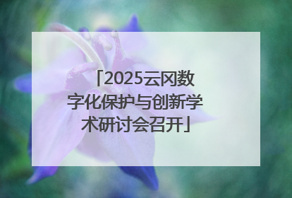 2025云冈数字化保护与创新学术研讨会召开