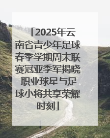 2025年云南省青少年足球春季学期周末联赛冠亚季军揭晓 职业球星与足球小将共享荣耀时刻