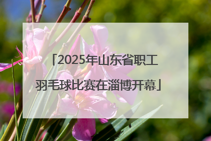 2025年山东省职工羽毛球比赛在淄博开幕