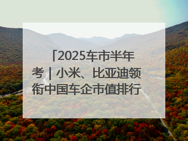 2025车市半年考｜小米、比亚迪领衔中国车企市值排行榜 保时捷跌出全球TOP10
