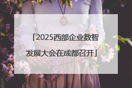 2025西部企业数智发展大会在成都召开