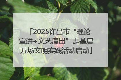 2025许昌市“理论宣讲+文艺演出”走基层万场文明实践活动启动