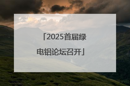 2025首届绿电铝论坛召开