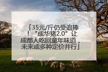 35元/斤仍受追捧！“成华猪2.0”让成都人吃回童年味道，未来或多种定价并行