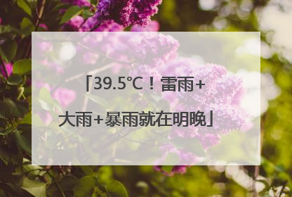 39.5℃！雷雨+大雨+暴雨就在明晚