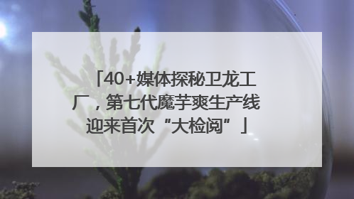40+媒体探秘卫龙工厂，第七代魔芋爽生产线迎来首次“大检阅”