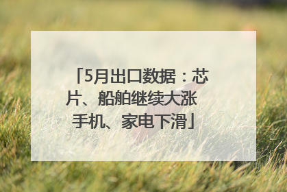 5月出口数据：芯片、船舶继续大涨 手机、家电下滑
