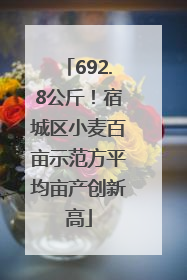 692.8公斤！宿城区小麦百亩示范方平均亩产创新高