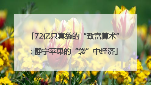 72亿只套袋的“致富算术”：静宁苹果的“袋”中经济