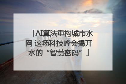 AI算法重构城市水网 这场科技峰会揭开水的“智慧密码”