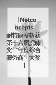 Netconcepts耐特康赛斩获第十六届虎啸奖“年度综合服务商”大奖