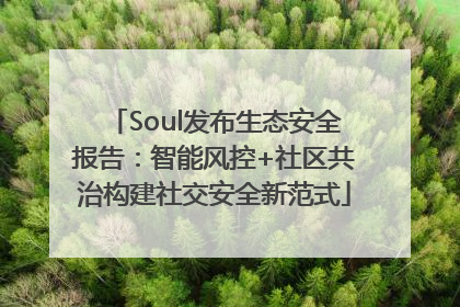 Soul发布生态安全报告：智能风控+社区共治构建社交安全新范式